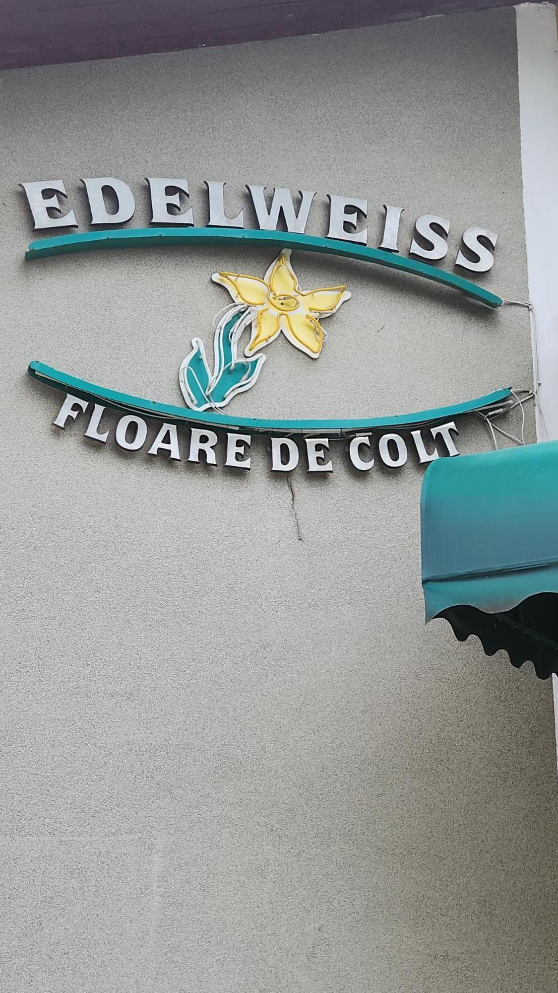 Pension Edelweiss Exterior photo